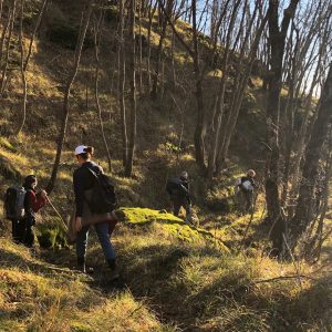 Alta Valtaro Boschi in autunno 300x300 OyWEeR