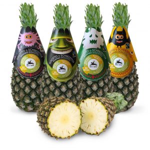 Ananas Dolcetto Alce Nero Halloween01 300x300 zfP8W7