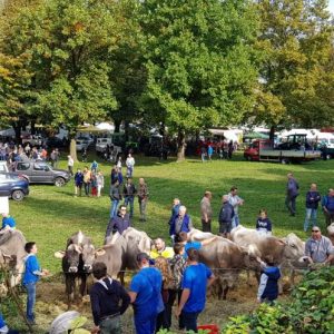 fiera zootecnica 300x300 zOdd6B