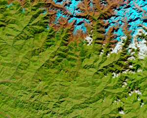 IBM NASA false color composite of the snow capped Himalayas 300x300 mV41tz
