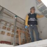 Caivano, la Polizia Metropolitana in campo: rimosso altarino e scoperti animali esotici detenuti irregolarmente