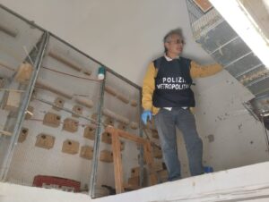 Caivano, la Polizia Metropolitana in campo: rimosso altarino e scoperti animali esotici detenuti irregolarmente