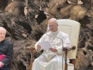Papa Leone XIV: “Su gay e trans la dottrina non cambia”