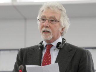 Enzo Rivellini