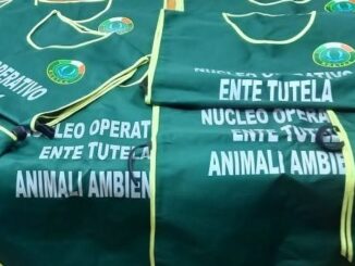 Divise verdi con scritte N.O.E.T.A.A. Unità cinofila nazionale utilizate dai volontari per la tutela degli animali